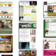 Older Websites